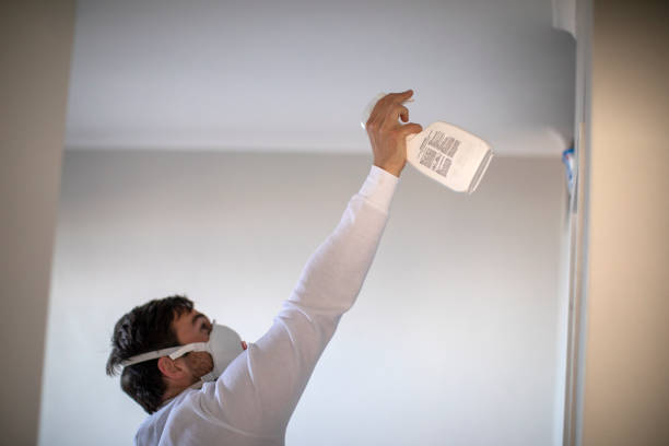 Best Mold Cleaning Services  in Macon, IL