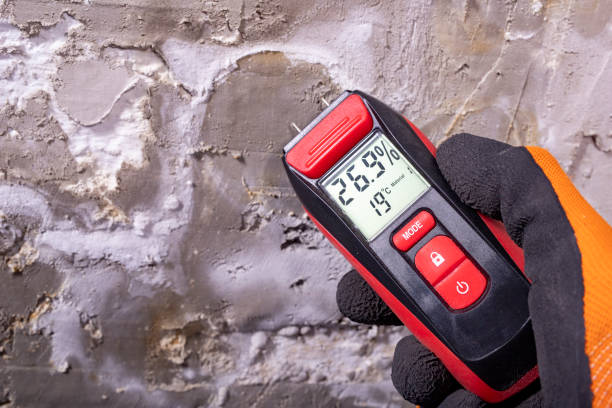 Best Mold Testing  in Macon, IL