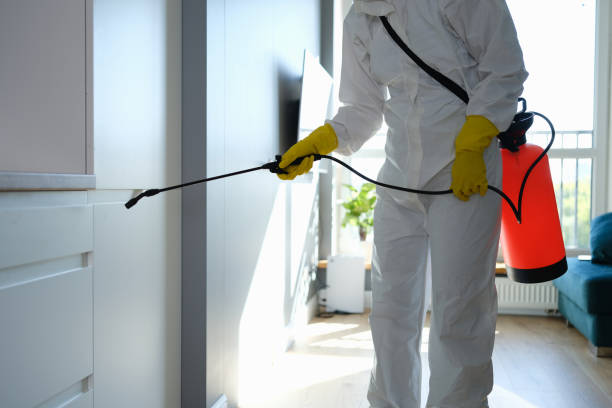 Best Mold Testing  in Macon, IL